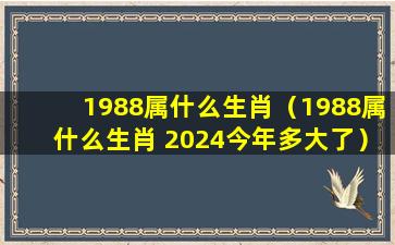 1988属什么生肖（1988属什么生肖 2024今年多大了）